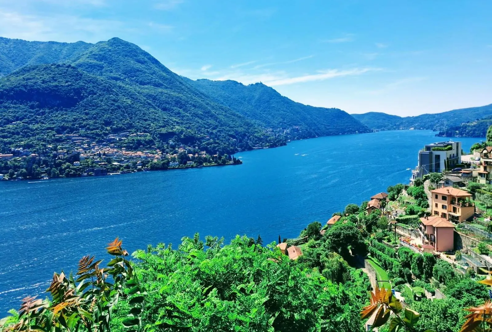La Colonghera By Quokka 360 - Flat On Lake Como Carate Urio Lägenhet